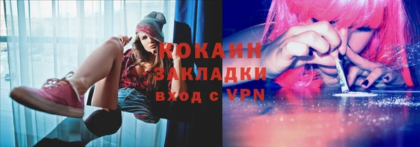 2c-b Ельня