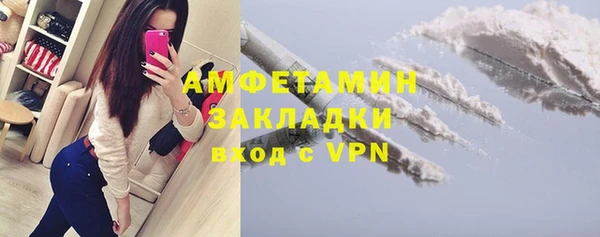2c-b Ельня