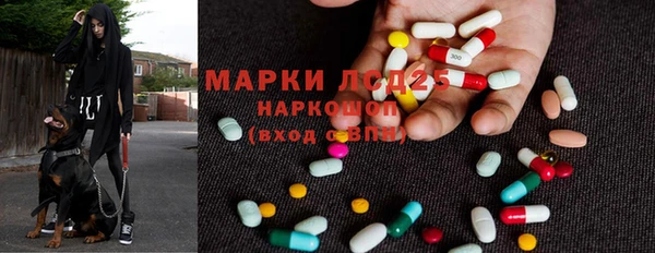 ешки Дмитриев