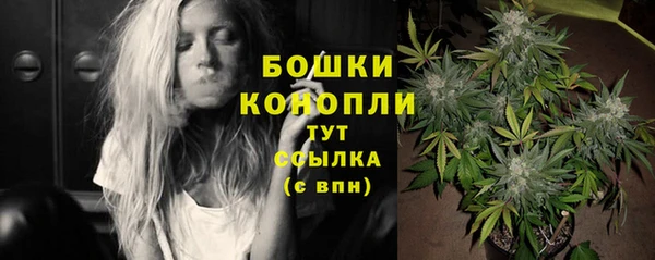 2c-b Ельня